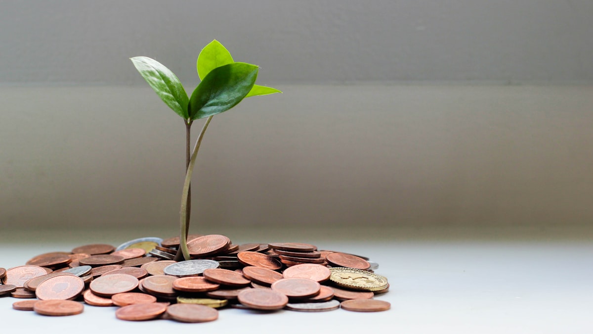 Compensation Planning: Build Pay Structures That Retain